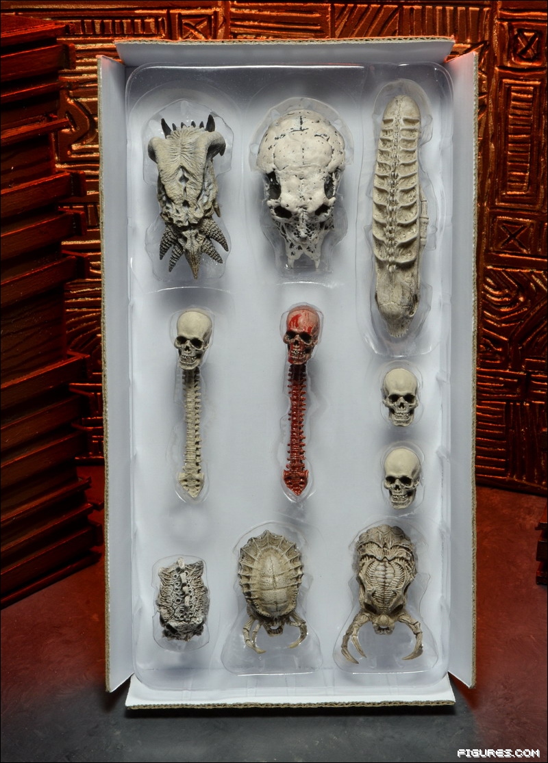 87892d1368809535-exclusive-neca-studio-tour-part-two-skull_set_01.jpg