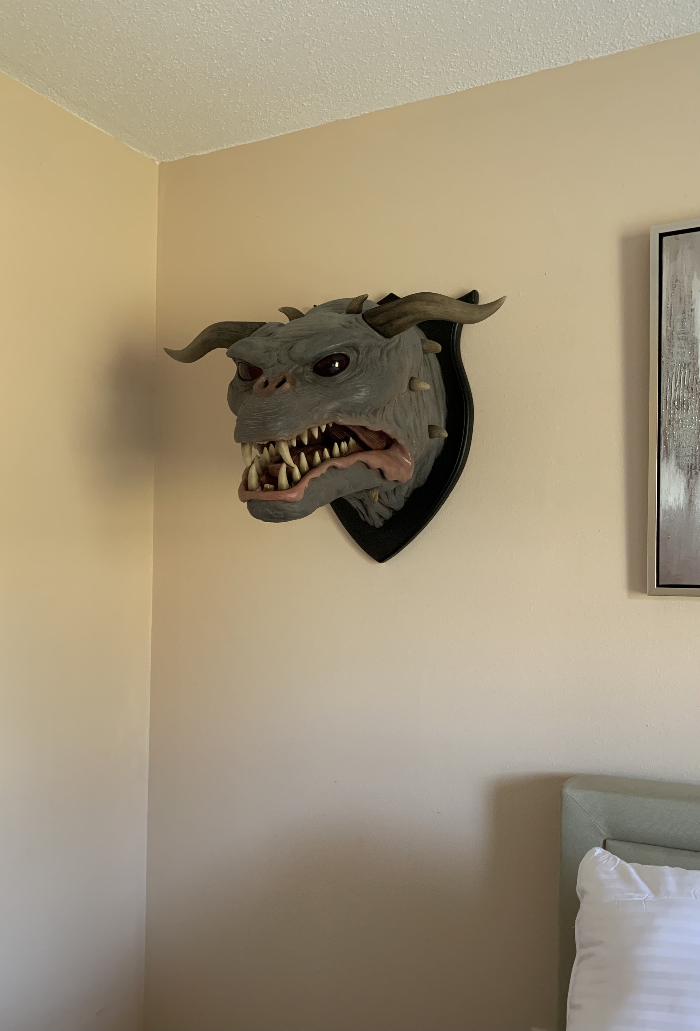 8A667B00-46F8-4647-AF65-1B2F9B0ED882.jpeg