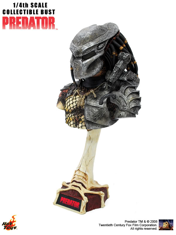 8PredatorBust.jpg
