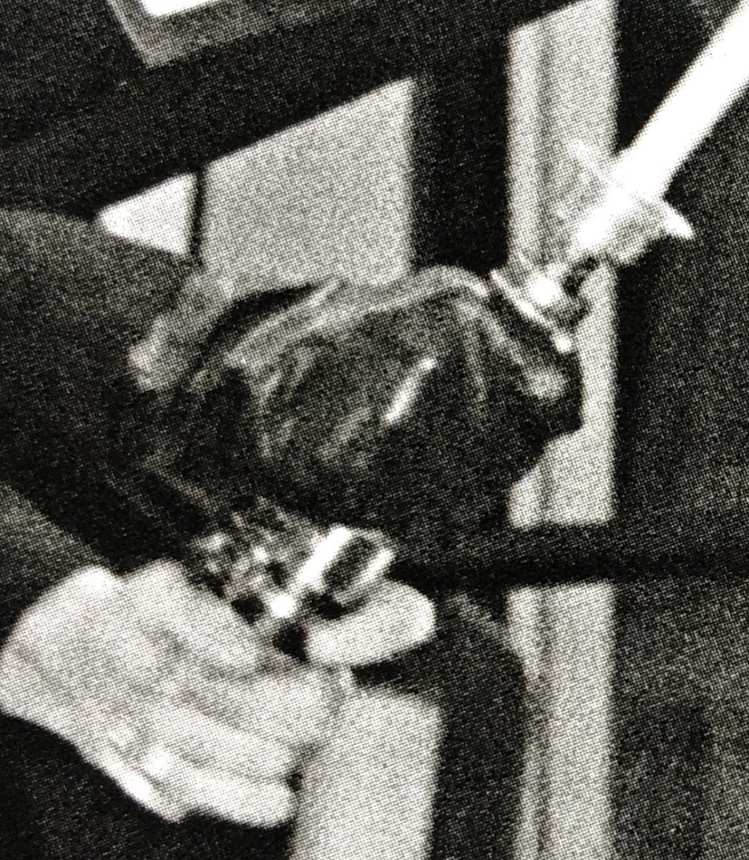 90669666-227D-493A-A5E7-4EC7BFCB0F76.jpeg