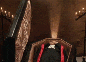 91755379-665F-4A87-8AAF-E34671B2CECA.gif