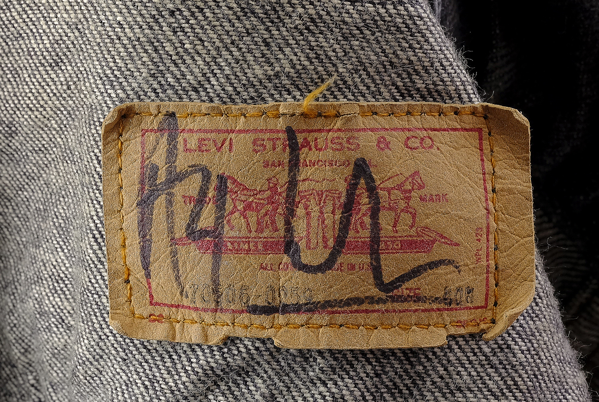 919203.jpg