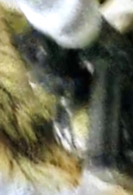 9D881D30-7DC5-40BF-9EA7-F04223A6DA47_4_5005_c.jpeg