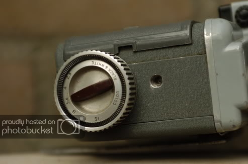 _DSC7313_resize.jpg