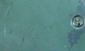 A Original 004.jpg