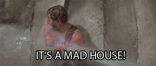 a5ndrvK.gif