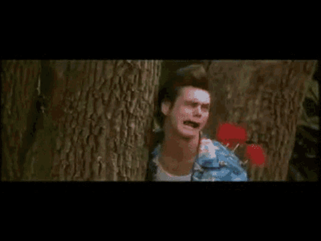 AB0BBF1E-37D3-4CD0-85DF-73A6E1837C50.gif