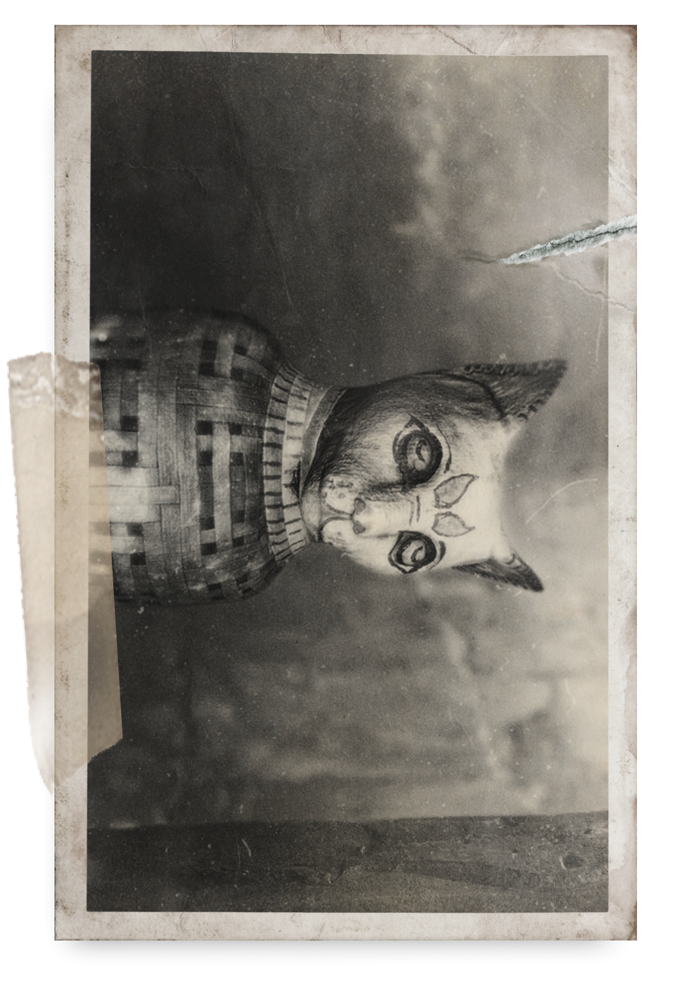 activitynote_marshallcollege_collectable_catmummyphoto_j.png