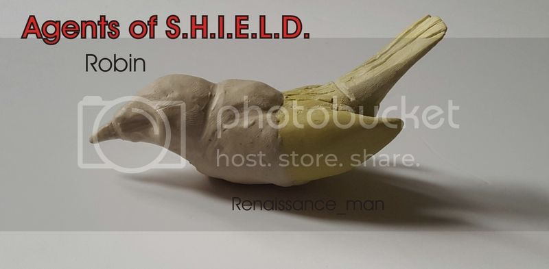 Agents%20of%20SHIELD%20Robin%20sculpt_zpsfhxv1idr.jpg