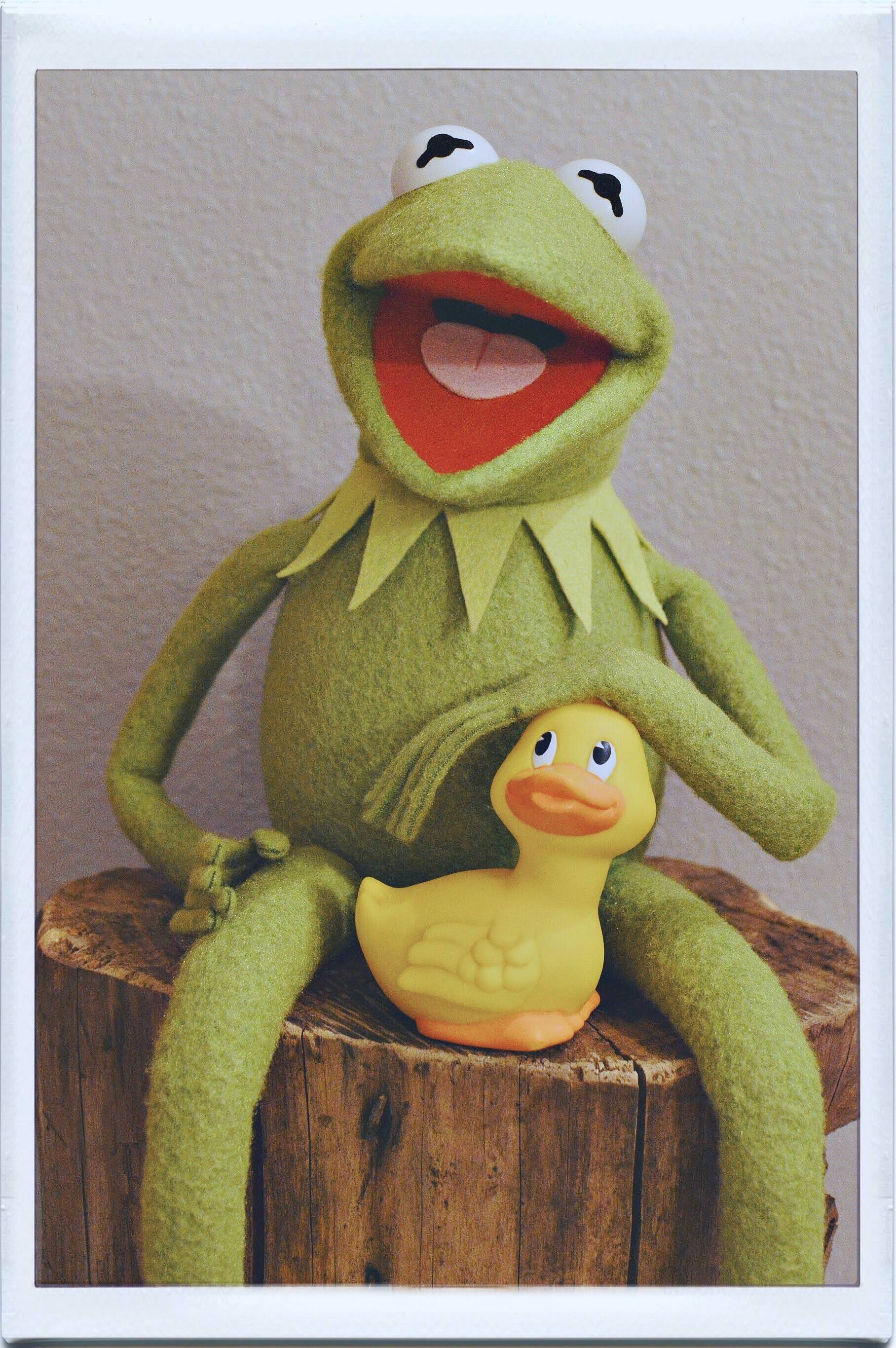 original kermit puppet