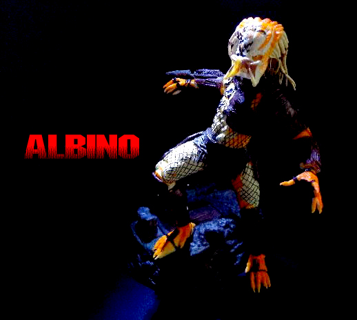 Albino.jpg