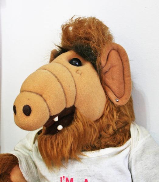 alf3-523x600.jpg