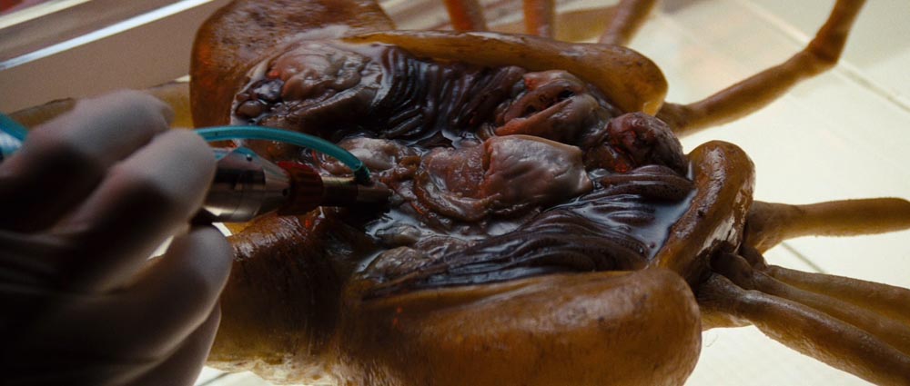 Alien 04.jpg