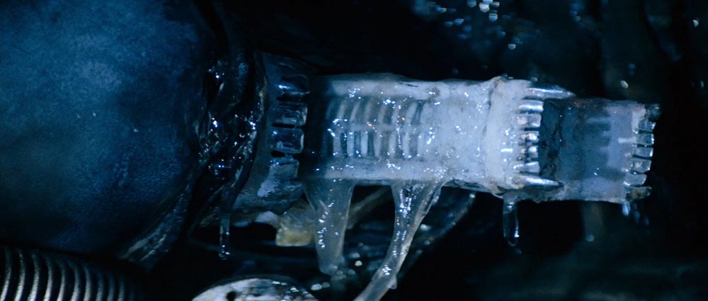 Alien 06.jpg