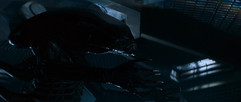 Alien 07.jpg