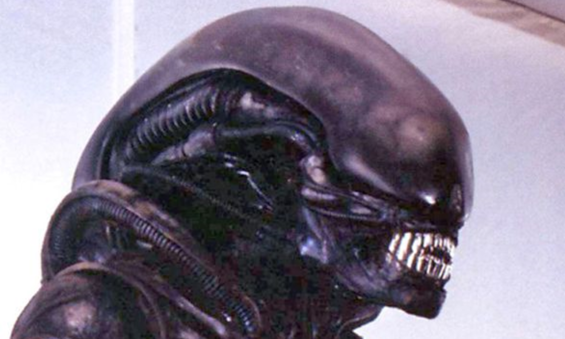 ALIEN SIDE.png