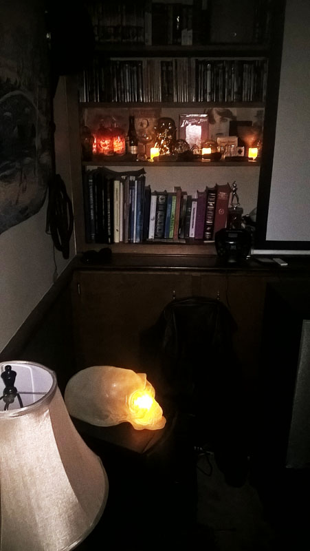 Alien Skull Bookshelf Lits.jpg