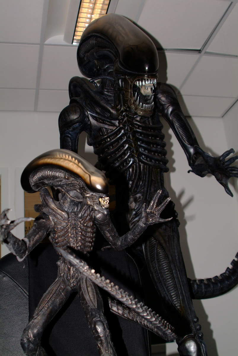 alien_001.jpg