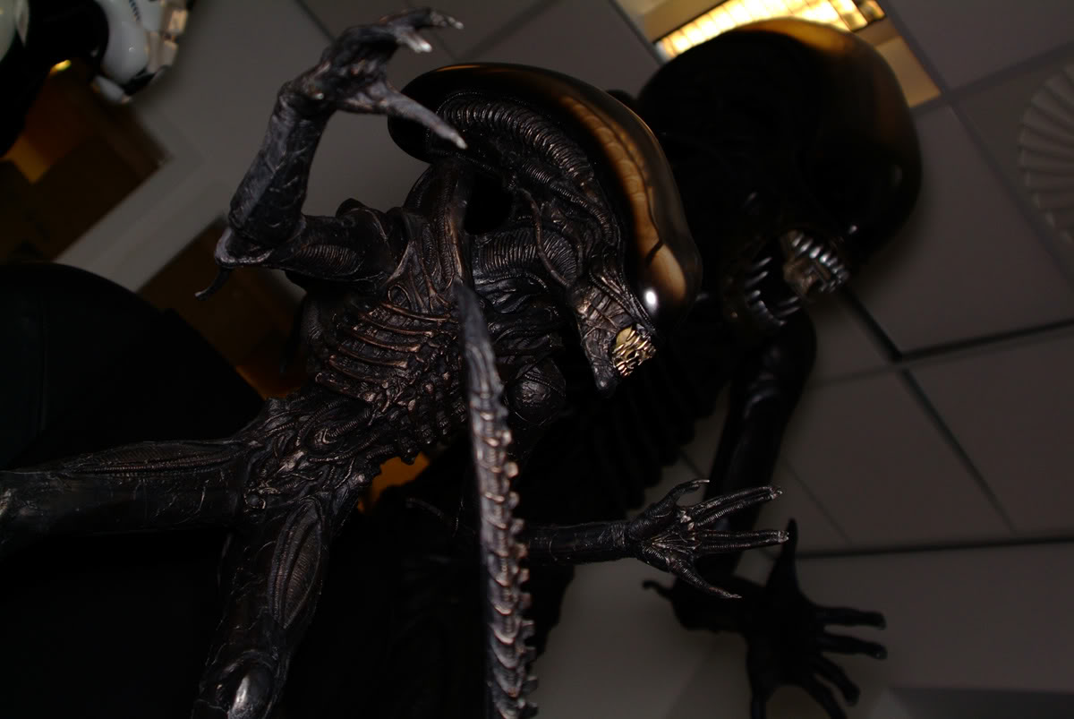 alien_002.jpg