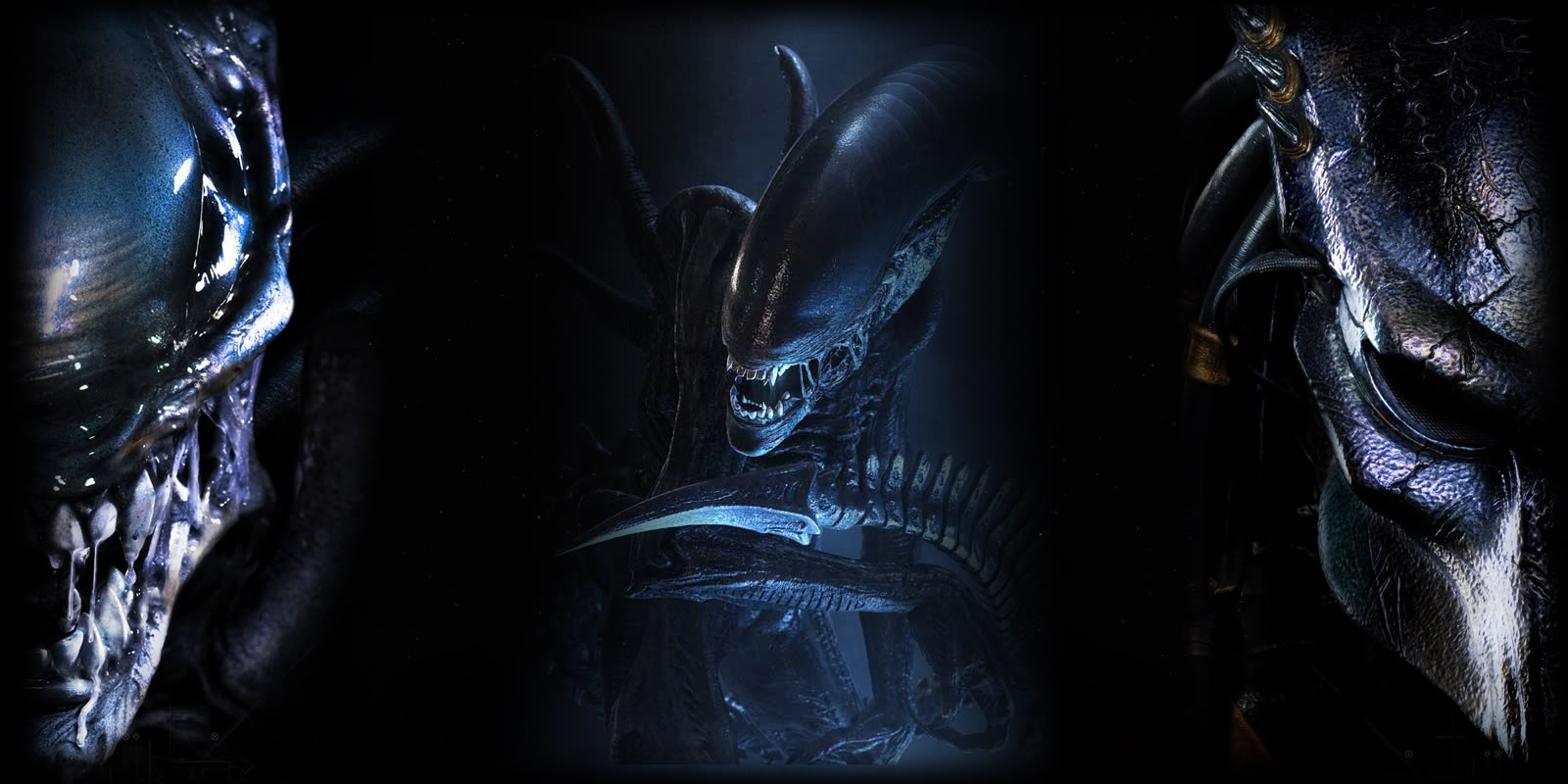 aliens_vs_predator_2_xcopy.jpg
