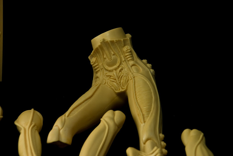 alienwarrior-27.jpg