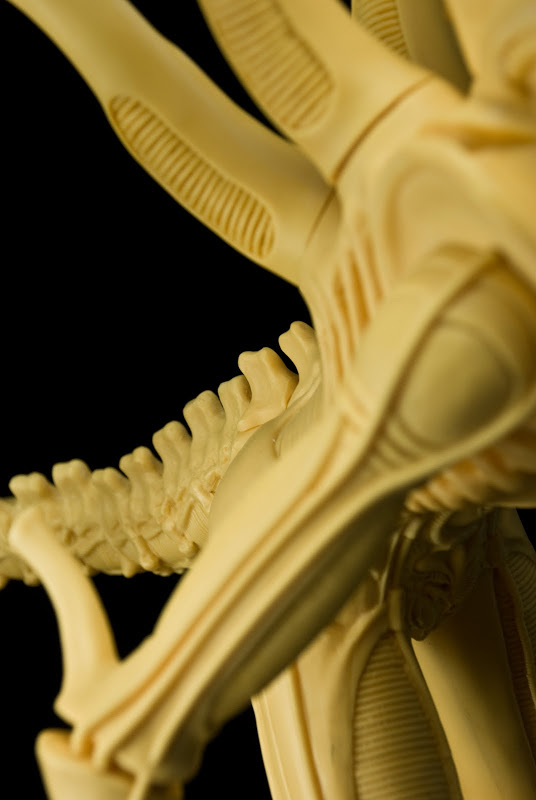 alienwarrior-31.jpg