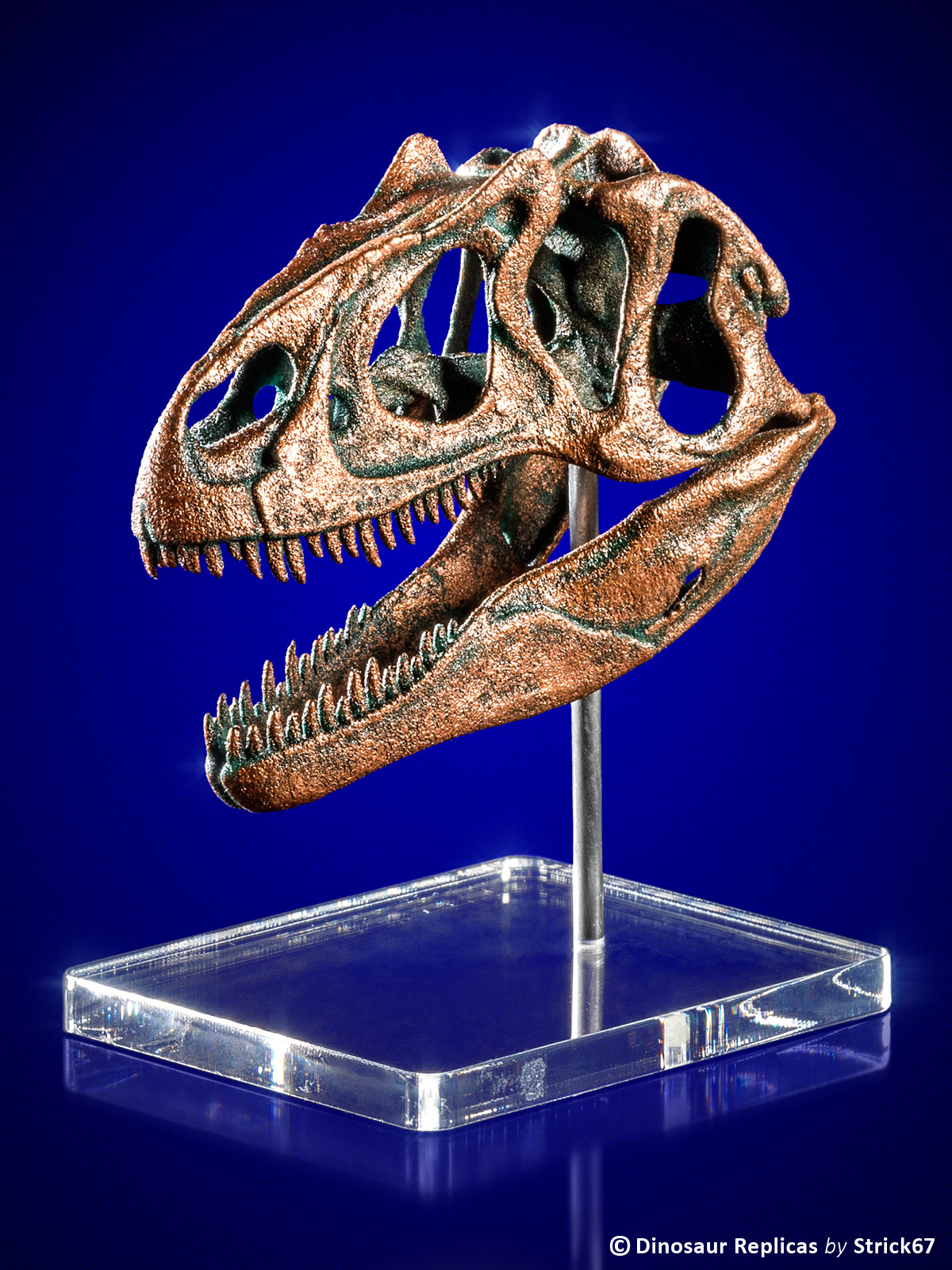 dinosaur skeleton replicas