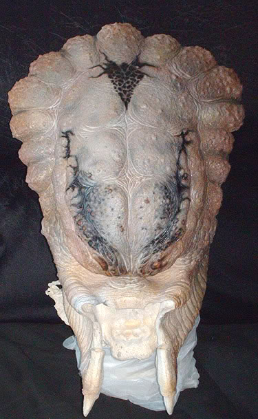 ancientone222.jpg