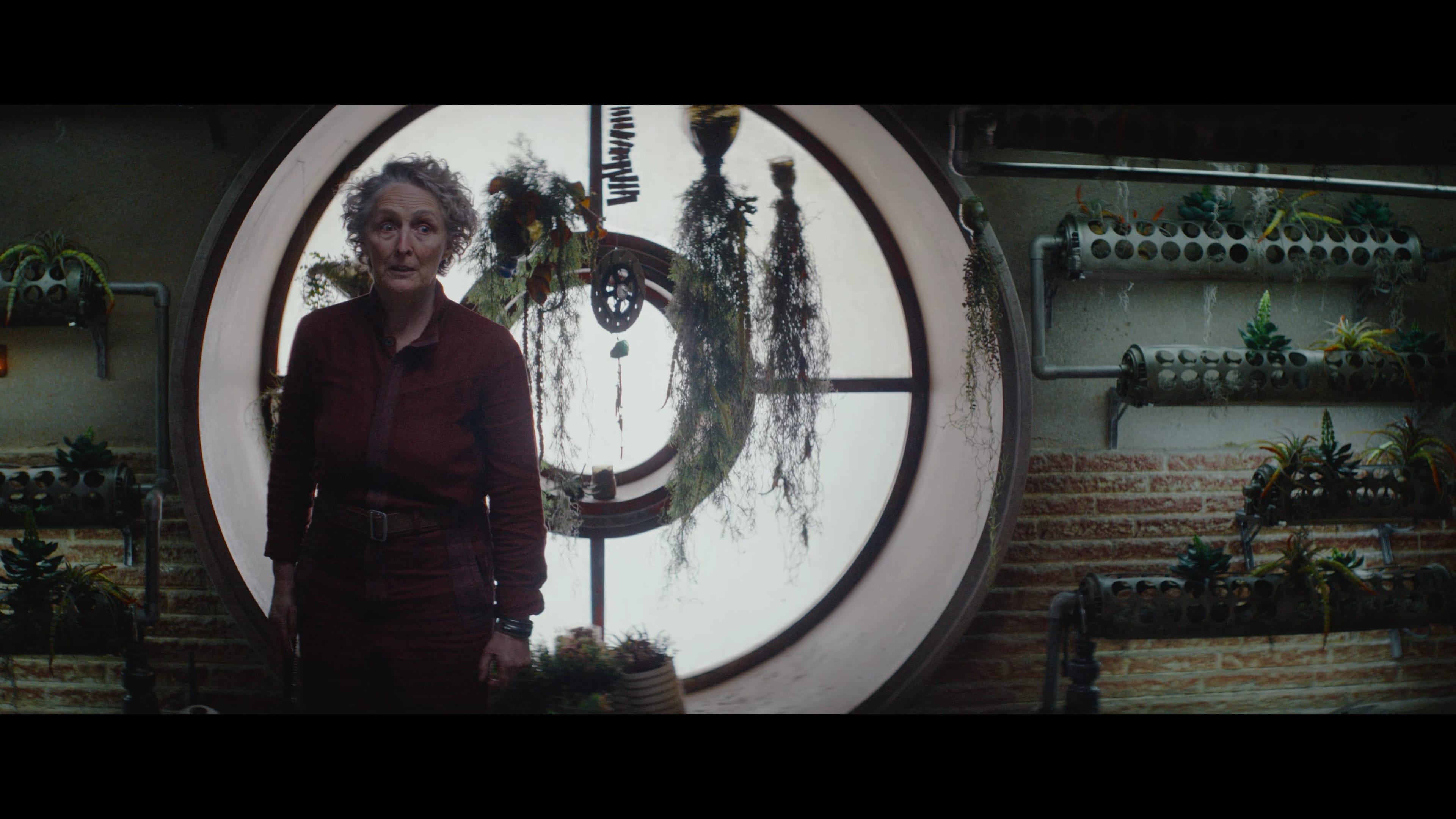 andor1x07_2302.jpg
