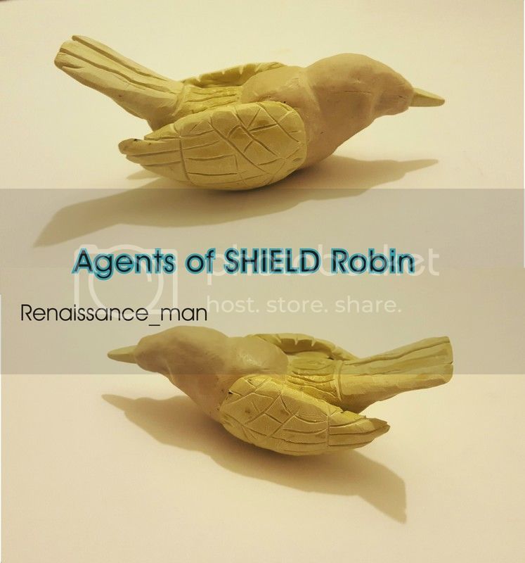AoS%20Robin%20New_zps6k8pxcfp.jpg