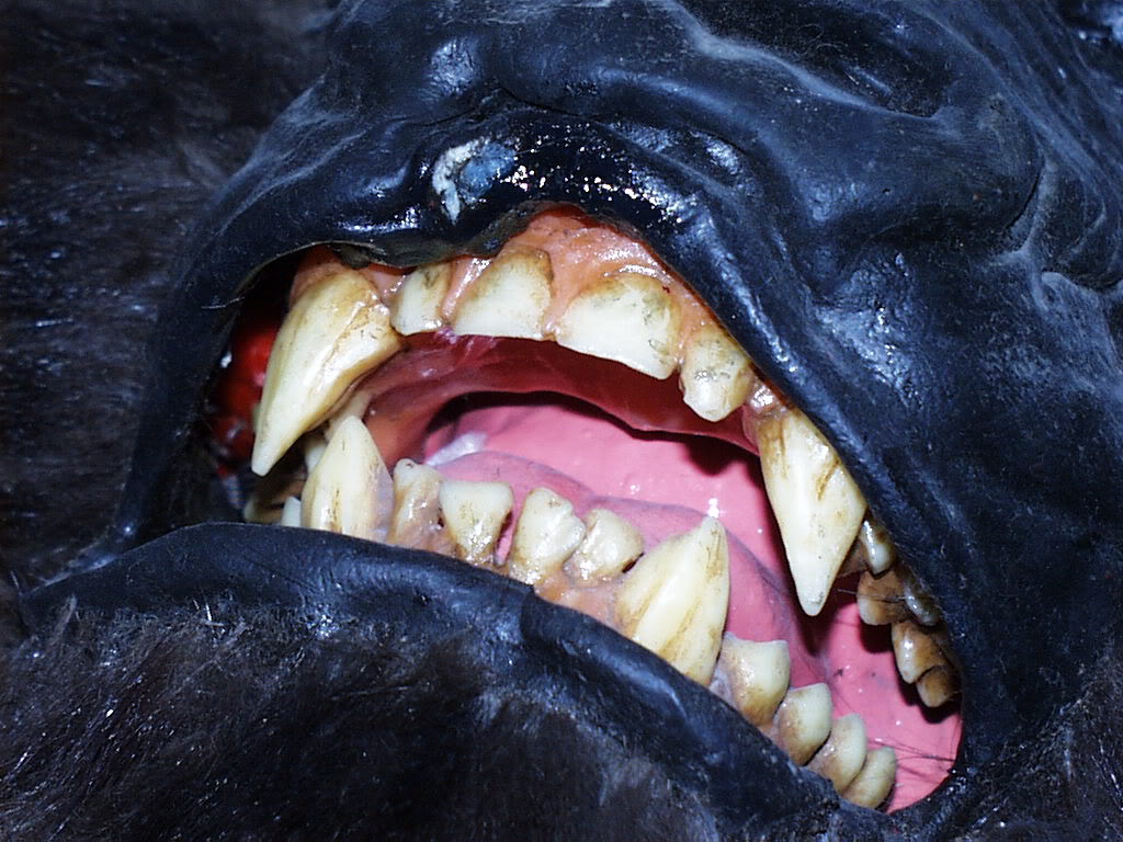 ape005.jpg
