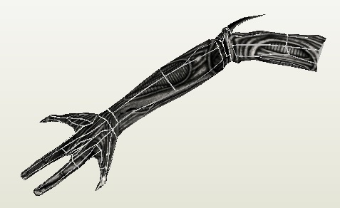 arm.jpg