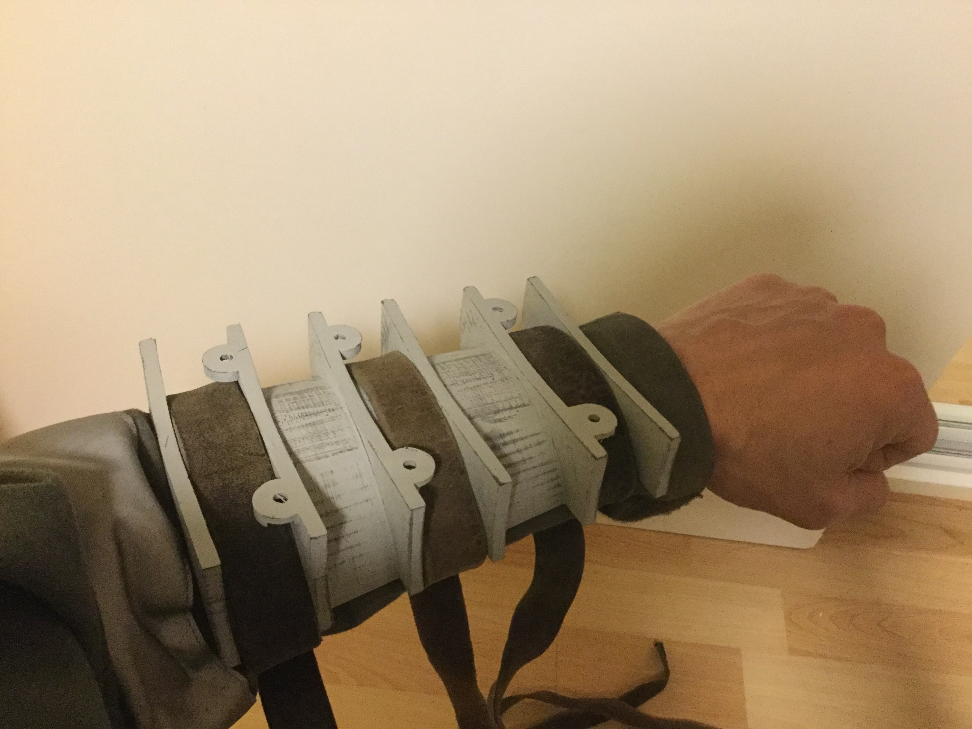 arm-mount-IMG_0254.JPG