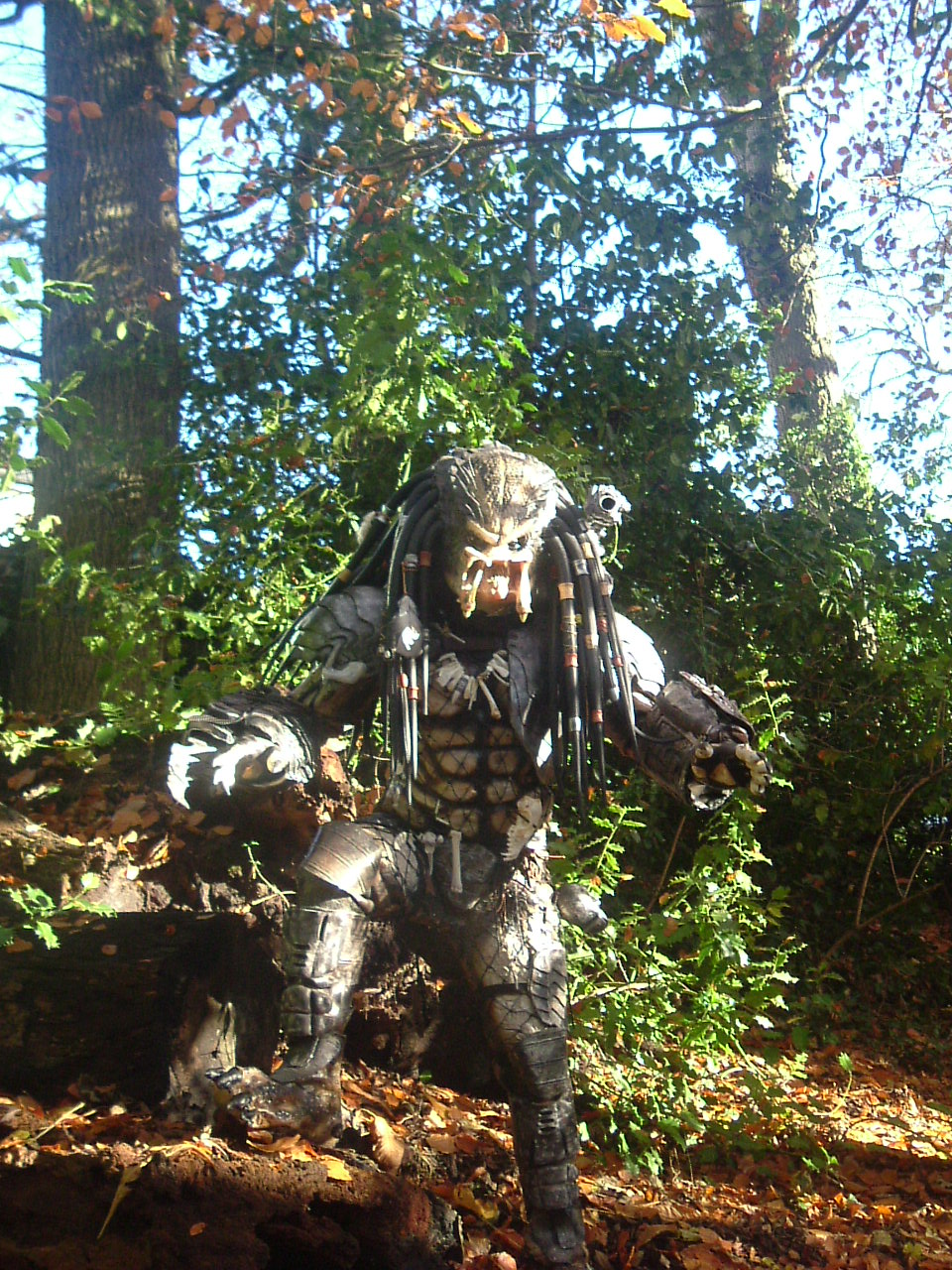 asda_predator_012.JPG