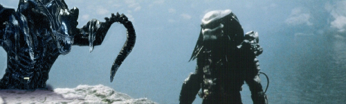 AVP.jpg