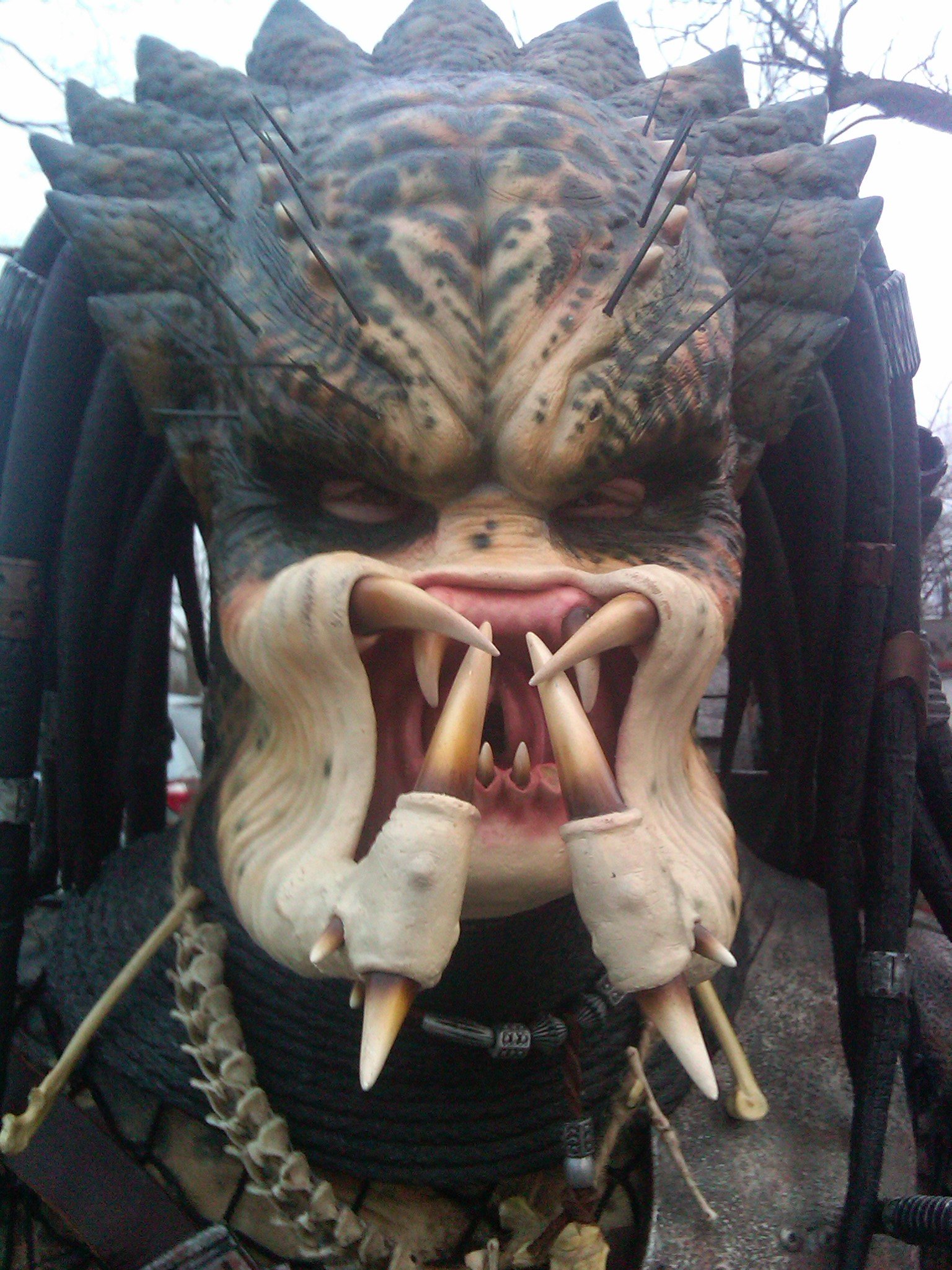 avp pred face.jpg
