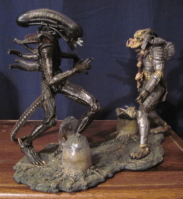 avp1.jpg