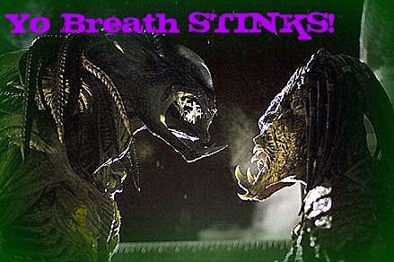 avp3nikkd.jpg
