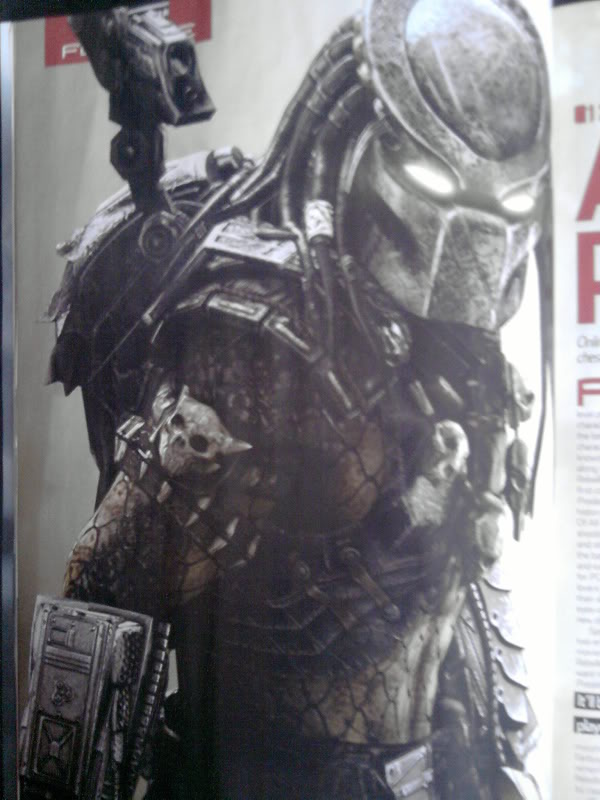 avp4.jpg