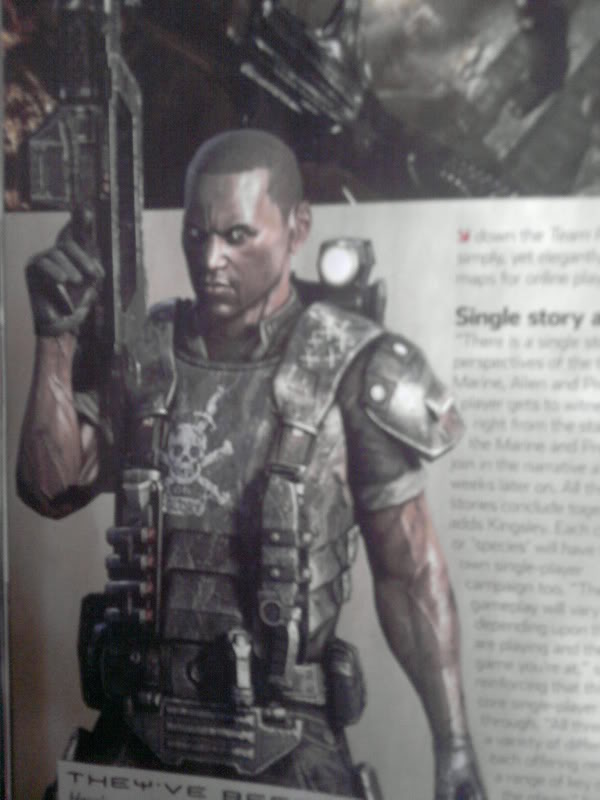 avp6.jpg