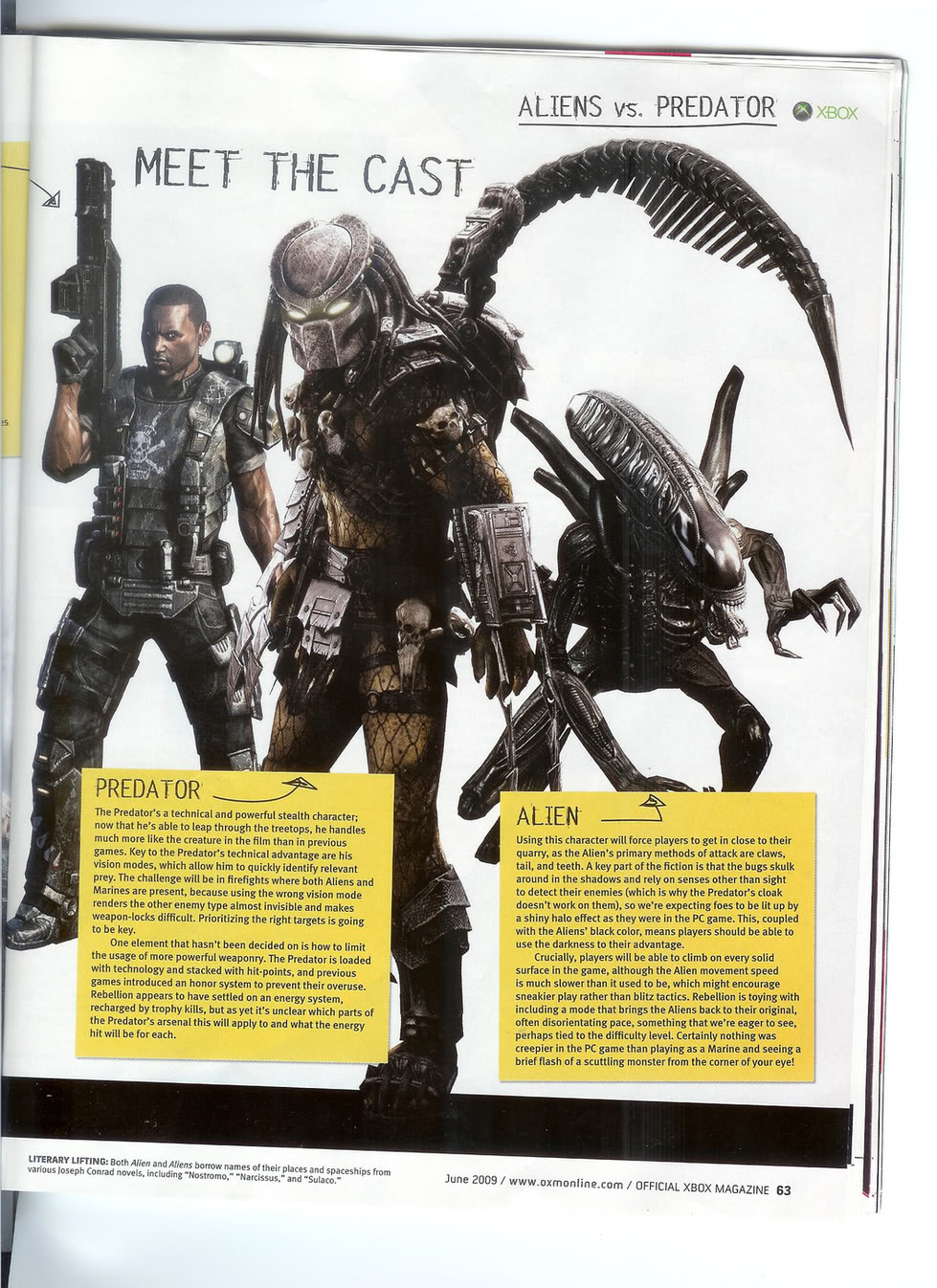 avp9b.jpg