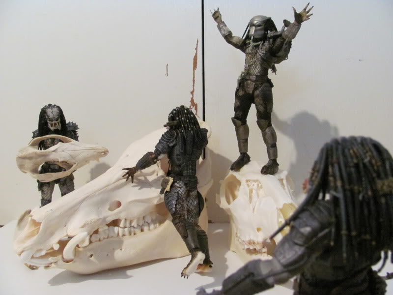 AVPfigures060.jpg