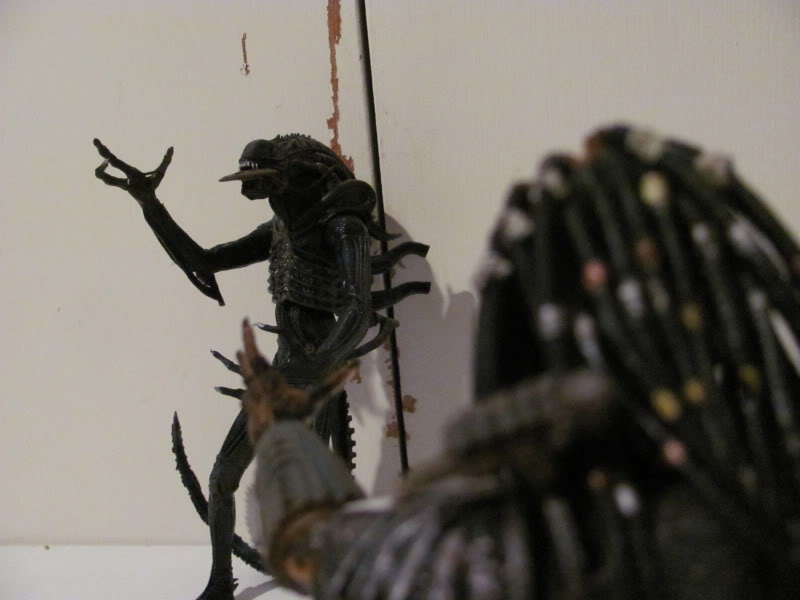 AVPfigures146.jpg