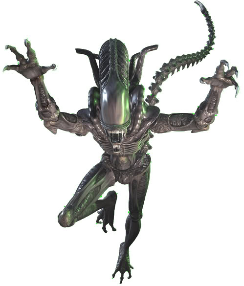 avpgame4.jpg