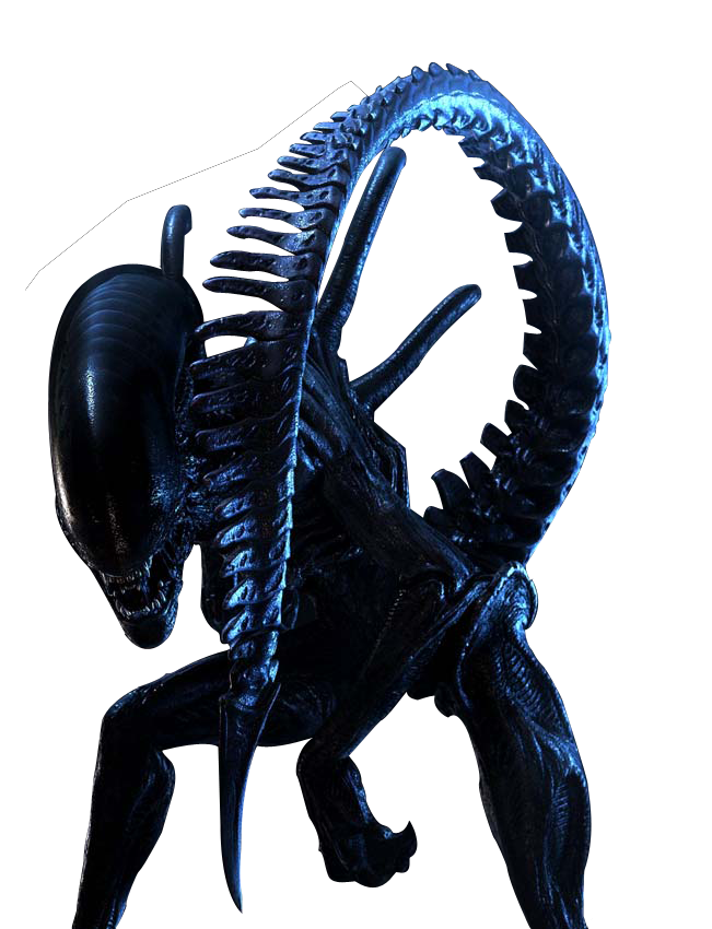 avpmovie3.png