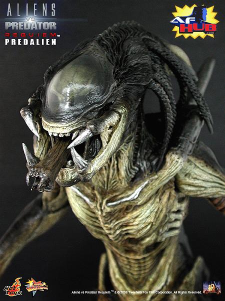 avpr_predalien_3.jpg