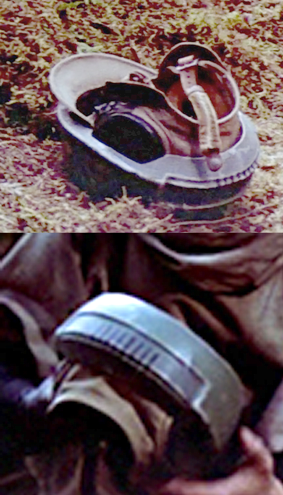 back.jpg