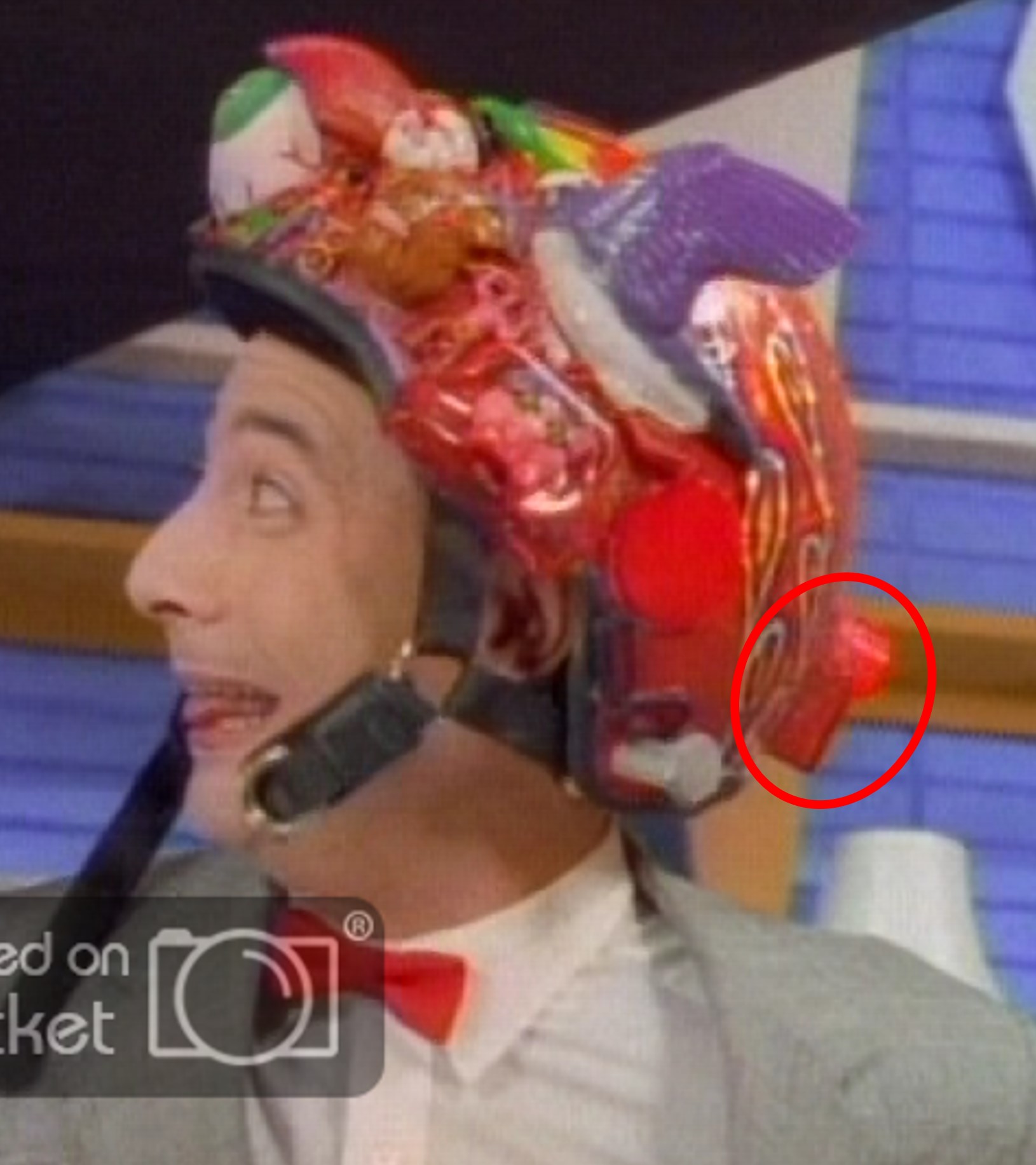 back_of_helmet.jpg