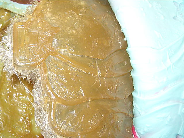 BACKPACK AND SUIT siliconed.jpg