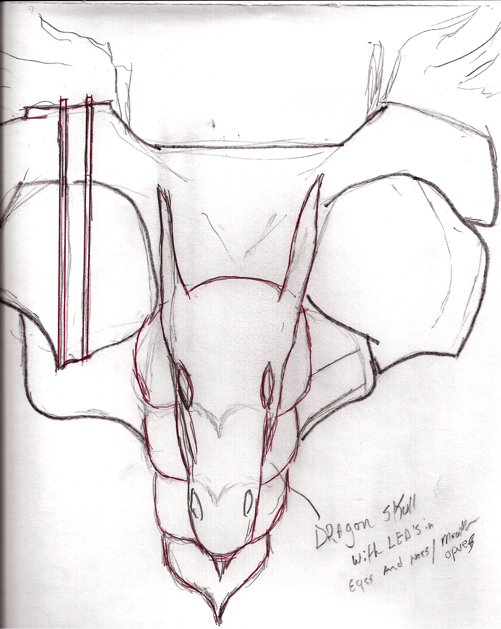 backwith dragon med pack.JPG